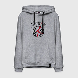 Мужская толстовка-худи Stray Kids