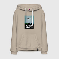Мужская толстовка-худи I WANT TO BELIEVE