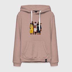 Толстовка-худи хлопковая мужская Bryant, Jordan, James, цвет: пыльно-розовый