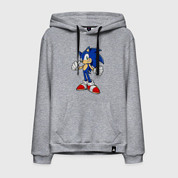Мужская толстовка-худи Sonic
