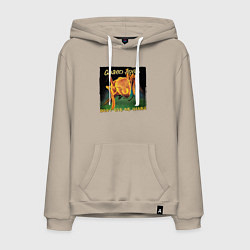 Мужская толстовка-худи Dont give me names