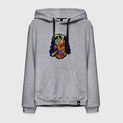 Мужская толстовка-худи Берегись кавалер кинг спаниеля