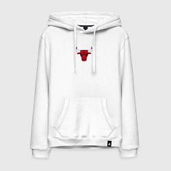 Мужская толстовка-худи CHICAGO BULLS