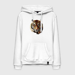 Толстовка-худи хлопковая мужская Тигр Tiger, цвет: белый