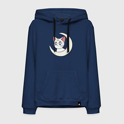 Мужская толстовка-худи Artemis