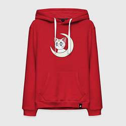 Мужская толстовка-худи Artemis