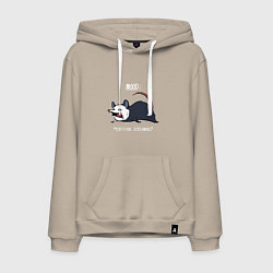 Мужская толстовка-худи Настроение: Кричать и лежать