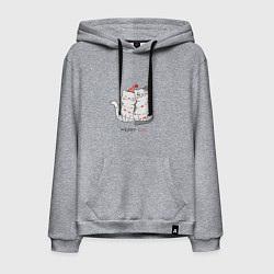 Мужская толстовка-худи Merry Cat