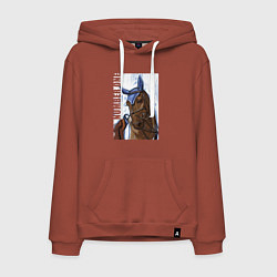 Мужская толстовка-худи Number one