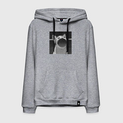 Мужская толстовка-худи ЧБ Pop Cat