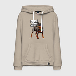 Мужская толстовка-худи ЧОП - ротвейлер из GTA 5