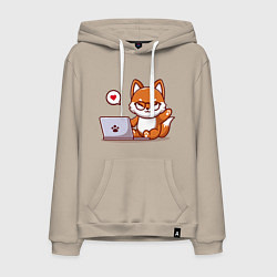 Мужская толстовка-худи Cute fox and laptop