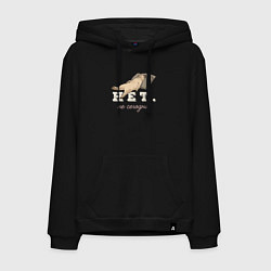 Мужская толстовка-худи Котик мем, нет, не сегодня