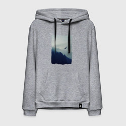 Мужская толстовка-худи ОРЁЛ НАД ЛЕСОМ EAGLE