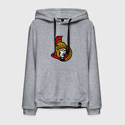 Мужская толстовка-худи Оттава Сенаторз логотип