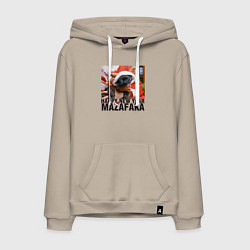 Мужская толстовка-худи Котик New Year