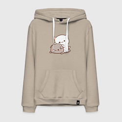 Мужская толстовка-худи Котики играют 02