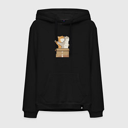 Мужская толстовка-худи Catanic