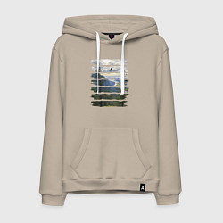 Мужская толстовка-худи Горы, небо и птицы