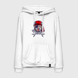 Мужская толстовка-худи Кот пират и рыбьи кости