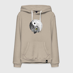 Мужская толстовка-худи Инь Янь по совиному