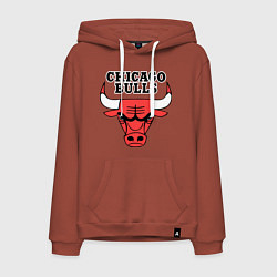 Мужская толстовка-худи Chicago Bulls