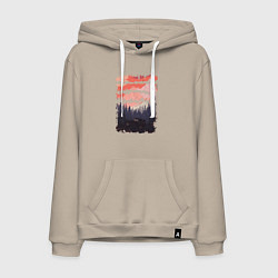 Мужская толстовка-худи Бездорожье и закат