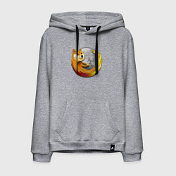 Мужская толстовка-худи Пёсик Доге охватывает планету