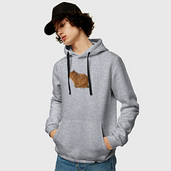 Толстовка-худи хлопковая мужская Капибара сидит и спит, цвет: меланж — фото 2