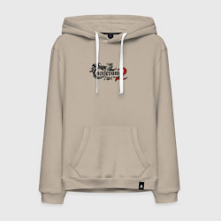 Мужская толстовка-худи Кастлвания 2