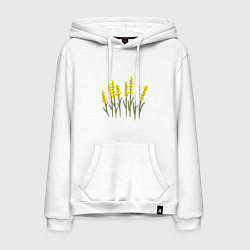 Толстовка-худи хлопковая мужская Желтые полевые цветы, цвет: белый