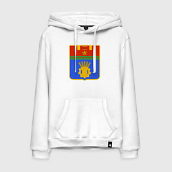 Мужская толстовка-худи Герб Волгограда