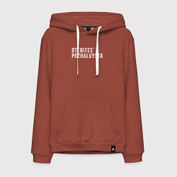 Мужская толстовка-худи Otebites