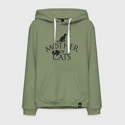 Мужская толстовка-худи Мать котов