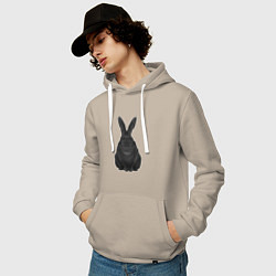 Толстовка-худи хлопковая мужская Черный водяной кролик - 2023, цвет: миндальный — фото 2