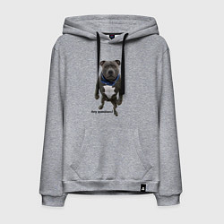 Мужская толстовка-худи Вопросов нет - питбуль - мощь