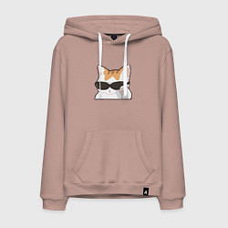 Мужская толстовка-худи Бело-рыжий котик в очках