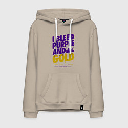 Мужская толстовка-худи Lakers nation