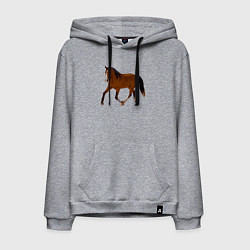 Мужская толстовка-худи Голландская теплокровная