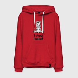 Мужская толстовка-худи Зебра я тут самый главный