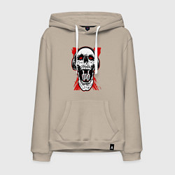 Мужская толстовка-худи DnB skull