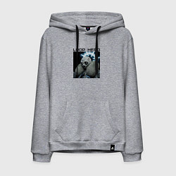 Мужская толстовка-худи Лич - Loop Hero