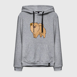 Мужская толстовка-худи Милая собачка Шпиц