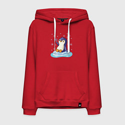 Толстовка-худи хлопковая мужская Пингвин на льдине, цвет: красный
