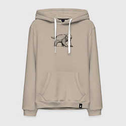 Мужская толстовка-худи Медоед недоволен