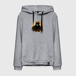 Мужская толстовка-худи Delta