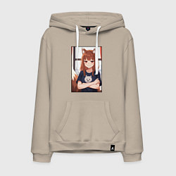 Мужская толстовка-худи Spice and Holo