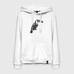 Мужская толстовка-худи Тукан на жердочке