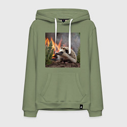 Мужская толстовка-худи Ёжик в огне