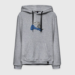 Мужская толстовка-худи Кошка Баунти и шахматный слон